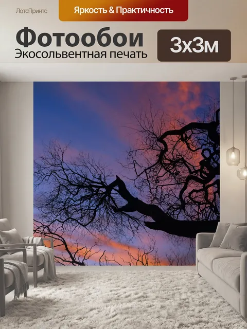 Фотообои Силуэт дерева на закате