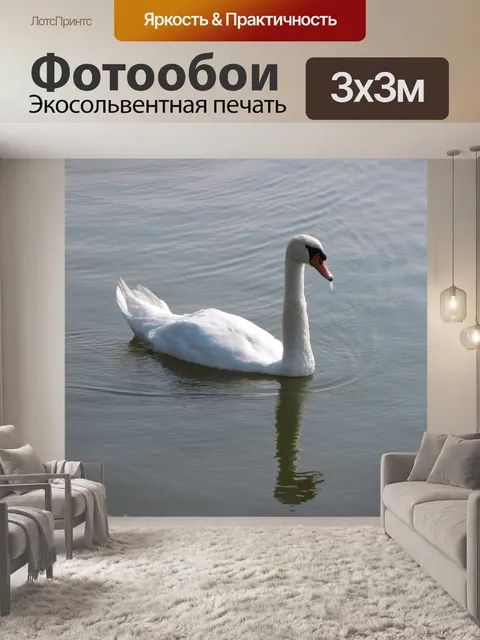 Фотообои Лебедь
