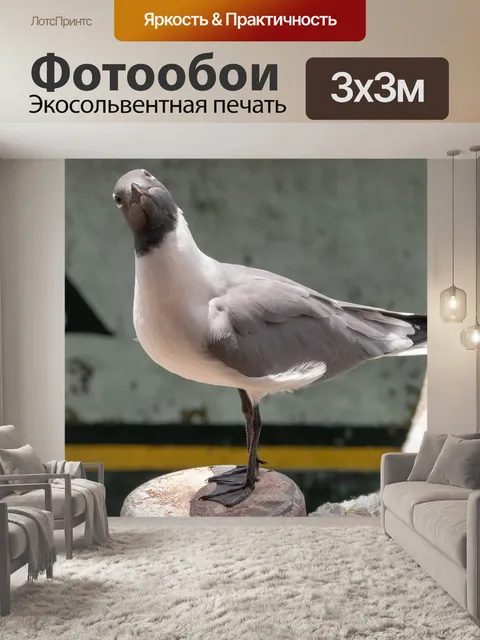 Фотообои Природа