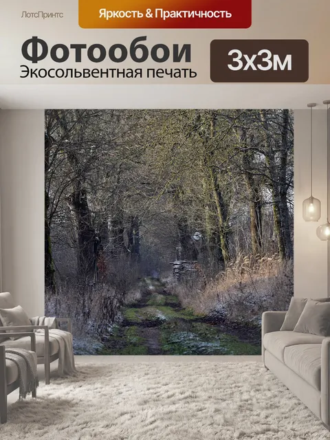 Фотообои Путь