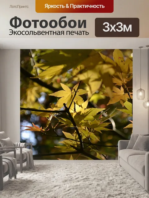 Фотообои Осенние листья