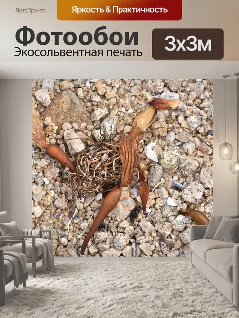 Фотообои Птица в пляжном песке