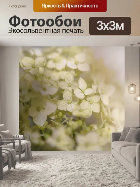 Фотообои Гортензии