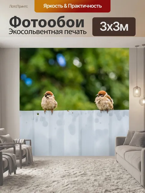 Фотообои Птицы