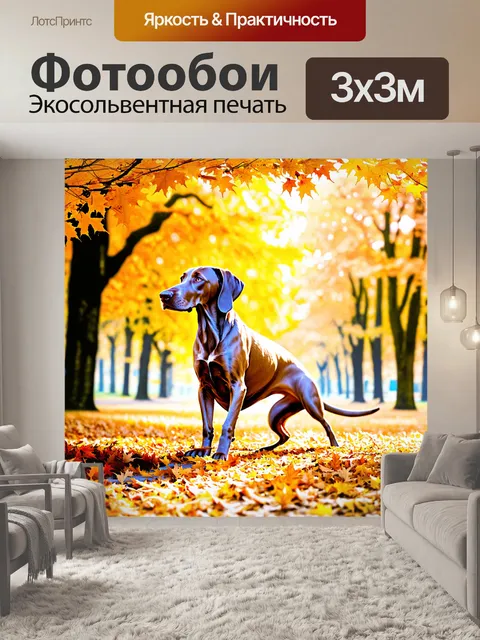 Фотообои огромный веймаранер, играющий с листьями в осеннем парке