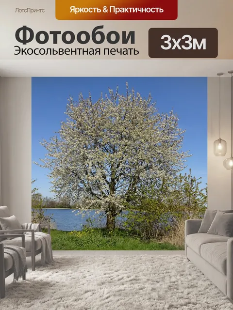 Фотообои Весна