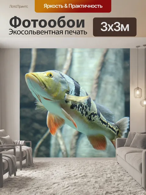 Фотообои Рыбы