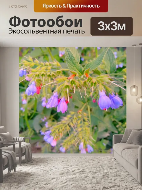 Фотообои Цветы