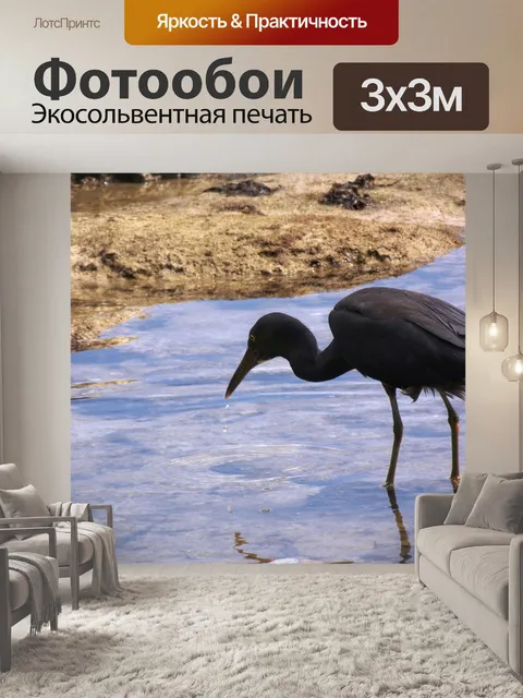 Фотообои Птицы