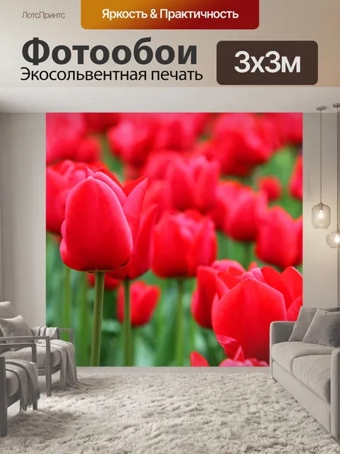 Фотообои красном фоне тюльпан