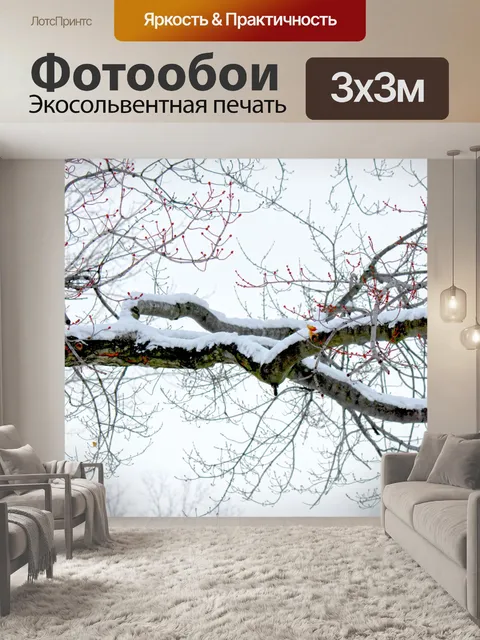 Фотообои Снегом филиал