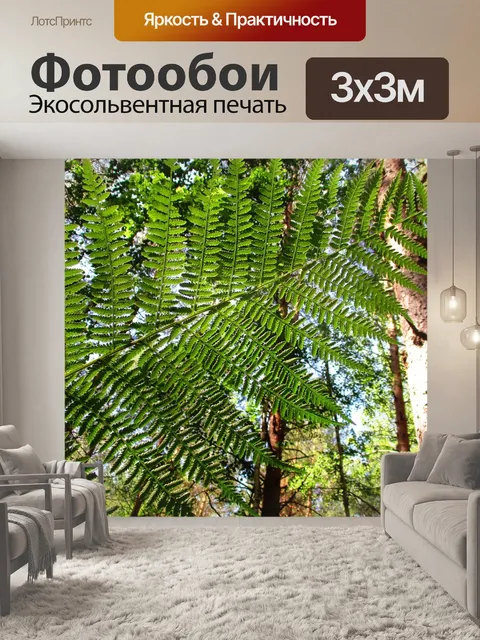 Фотообои Папоротник