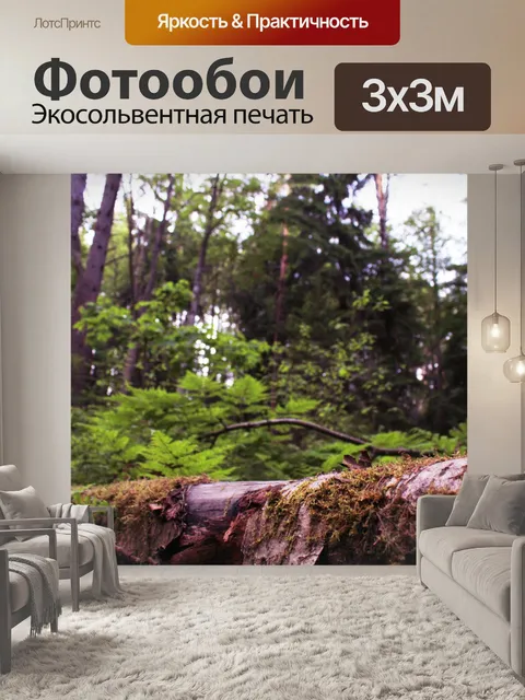 Фотообои лес
