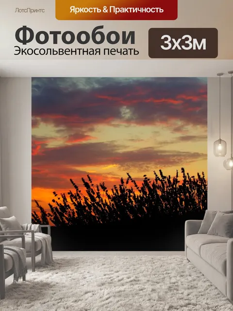 Фотообои Лаванда