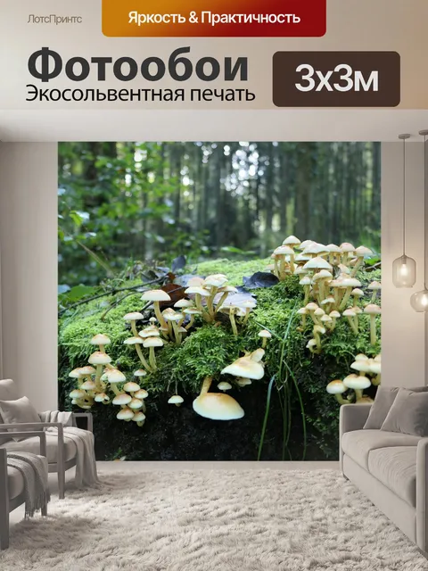 Фотообои Мох
