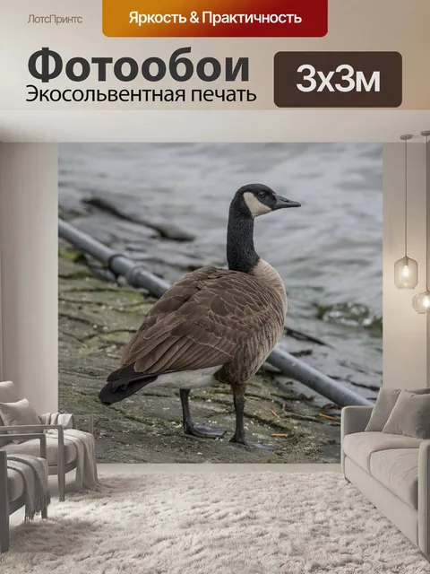 Фотообои Птица