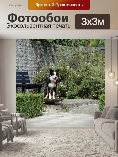 Фотообои Птица ванна