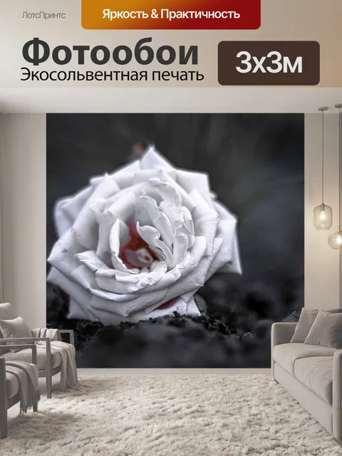 Фотообои Роза