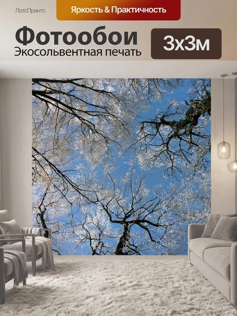 Фотообои Деревья