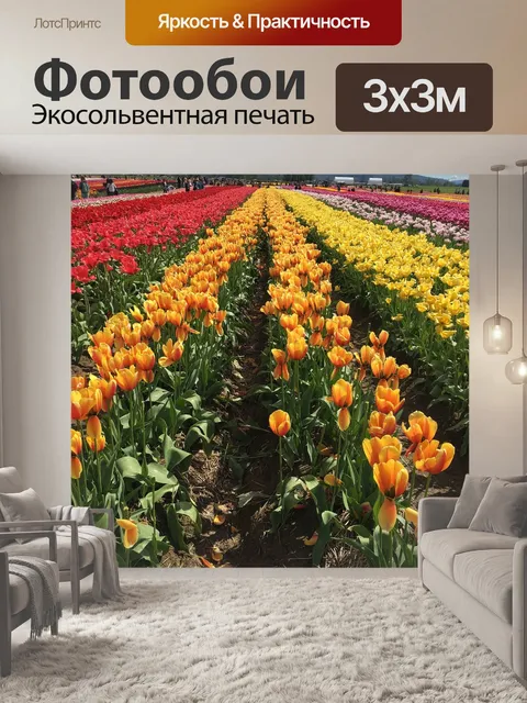 Фотообои Облака