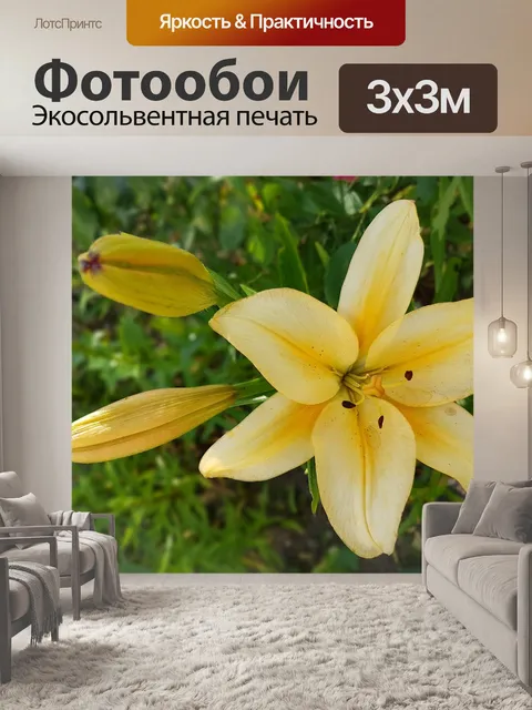 Фотообои Лили