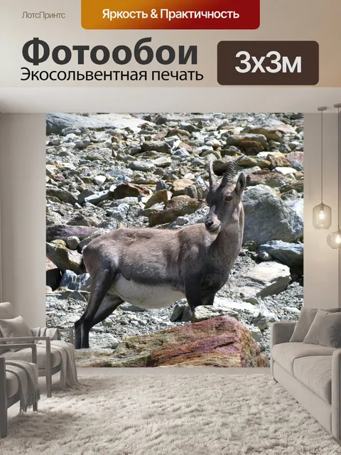 Фотообои Горный козел