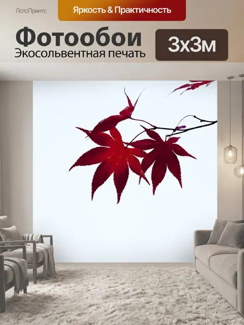 Фотообои Осенние листья