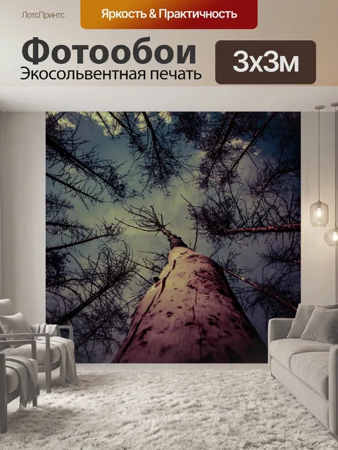 Фотообои Деревья