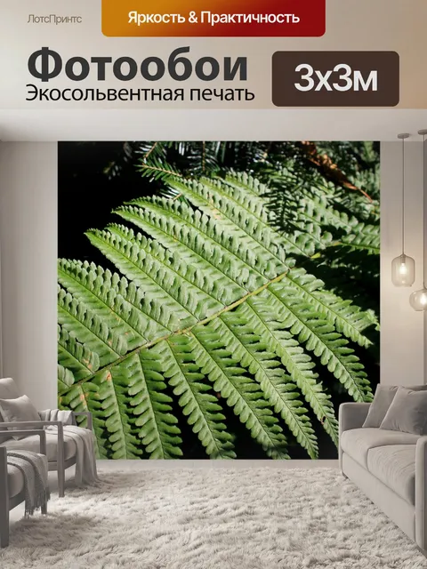 Фотообои Папоротник