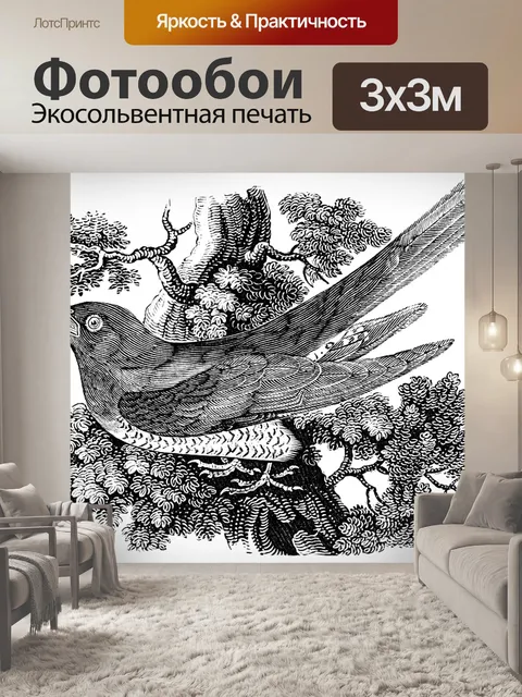 Фотообои Кукушка
