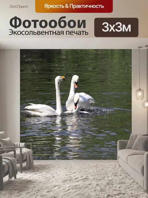 Фотообои Лебеди