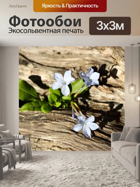 Фотообои Цветы