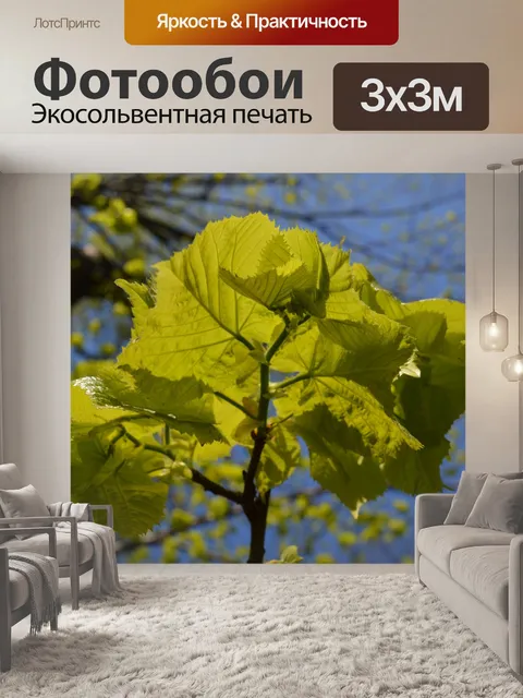 Фотообои Дерево