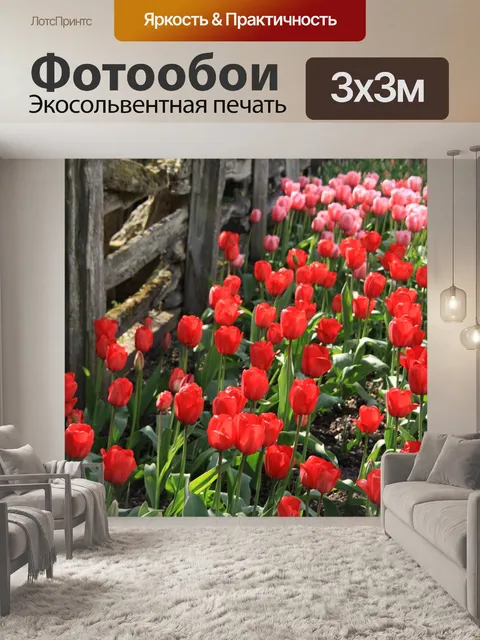 Фотообои Тюльпаны