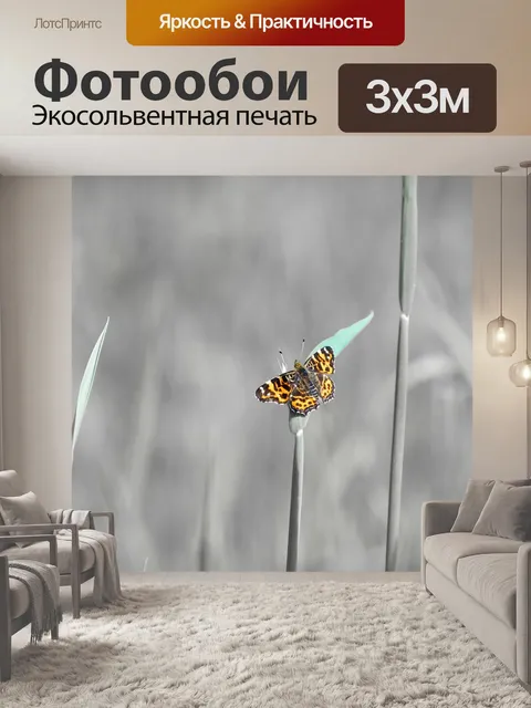 Фотообои Бабочка