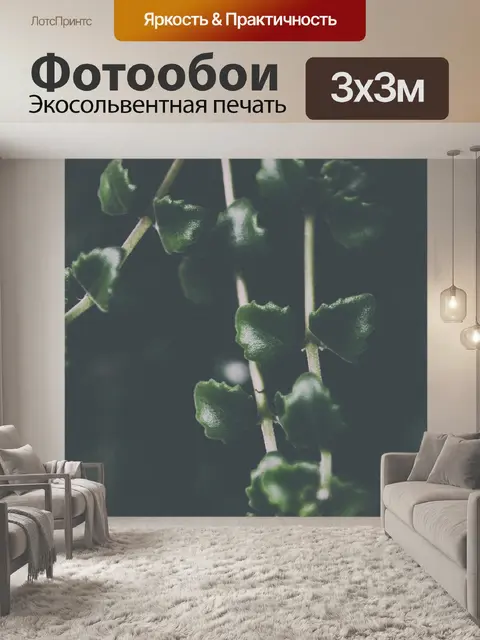 Фотообои Листья