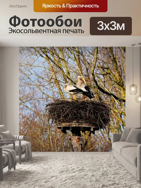 Фотообои Аист