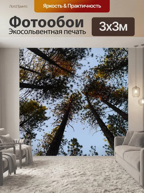 Фотообои Деревья