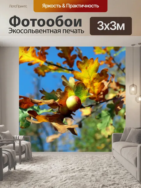 Фотообои Дубовые листья