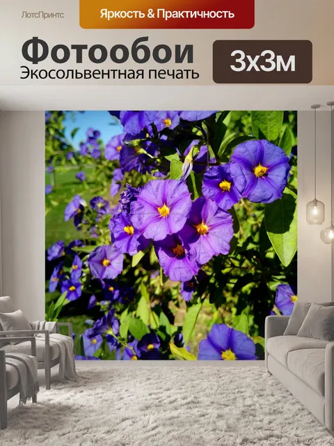 Фотообои Цветы