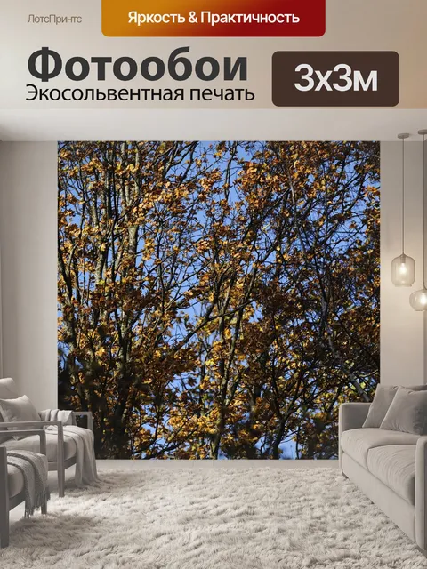Фотообои Падение