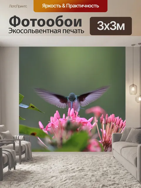 Фотообои Колибри