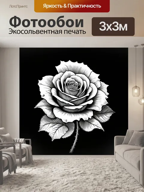 Фотообои розы в стиле рисунка карандашом, единичные цветы на темном фоне, элегантный акцент