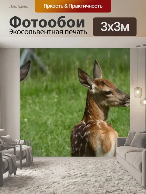 Фотообои Олень