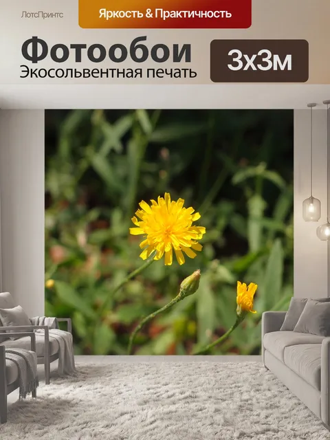 Фотообои Цветы