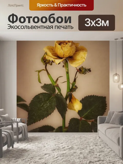 Фотообои Роза