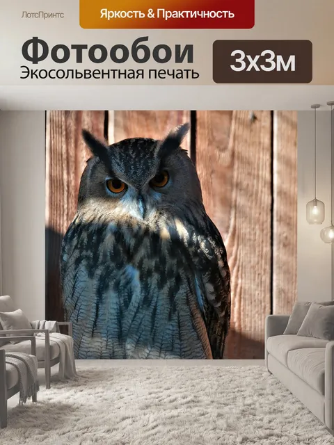 Фотообои Птица