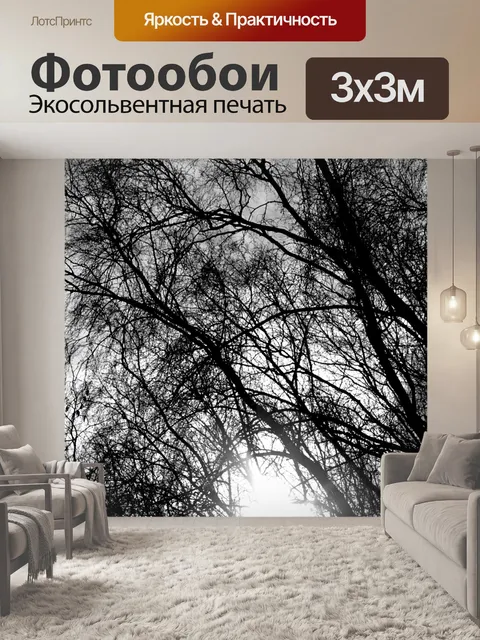Фотообои Деревья