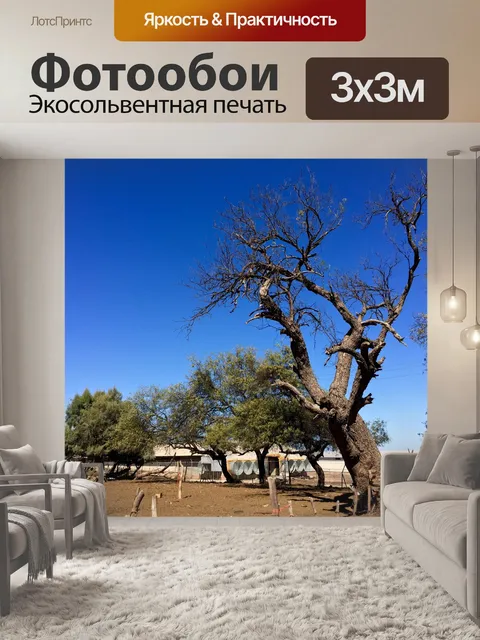 Фотообои Дерево