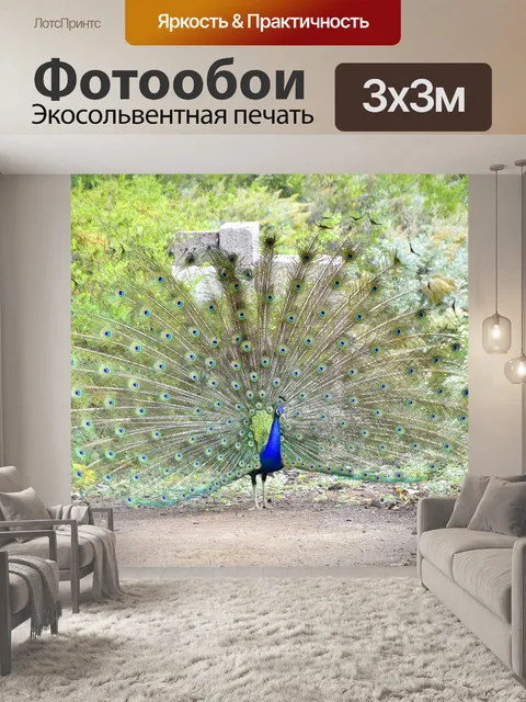 Фотообои Павлин